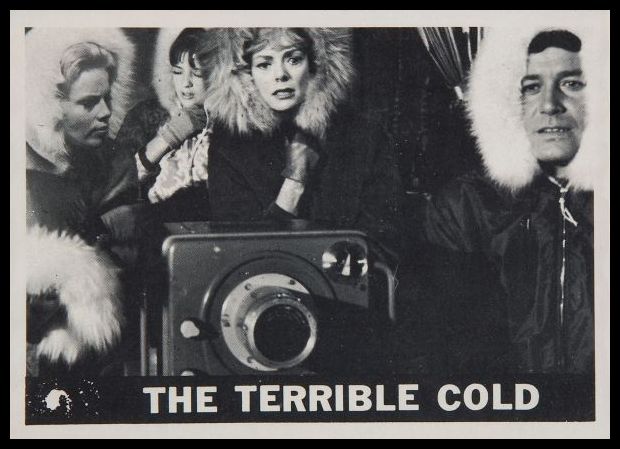 46 The Terrible Cold